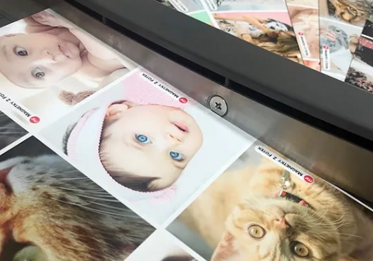 Musím fotografie před tiskem upravit?