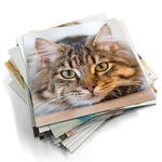 Fotomagnetky na ledničku