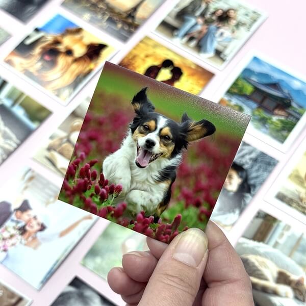 Fotomagnetky na ledničku